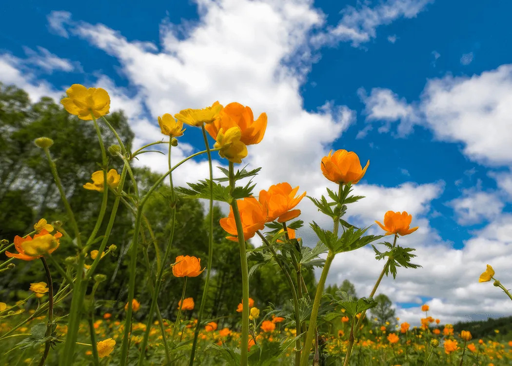 Launching Achievement Teams in the Spring